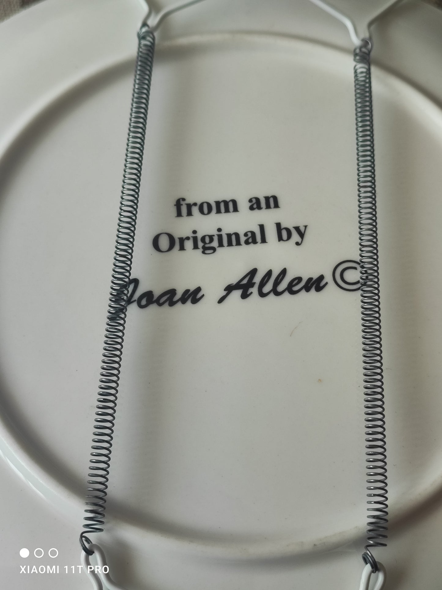 Golly Plate by Joan Allen
