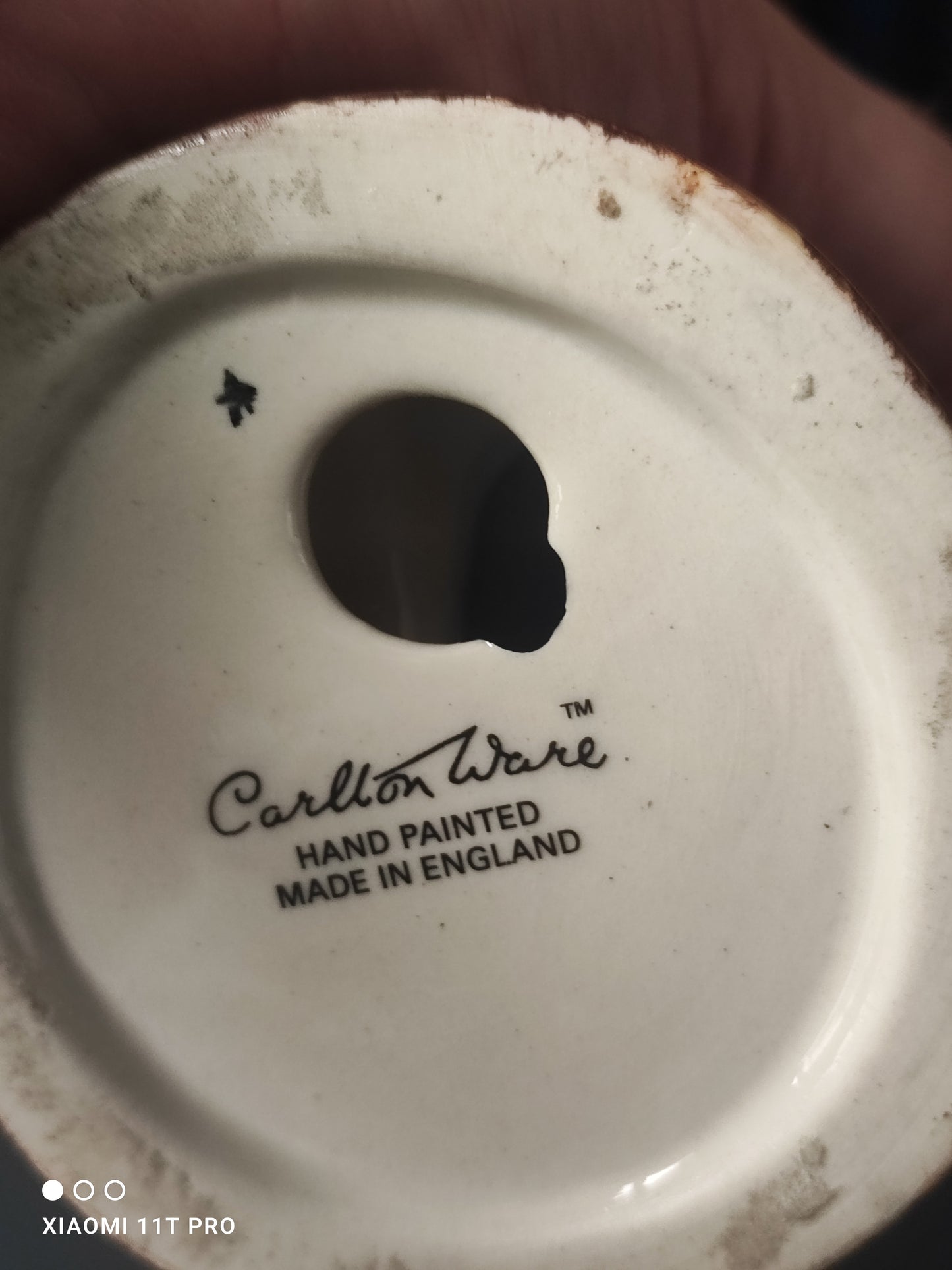 Large 9" Carltonware Dapper Golly