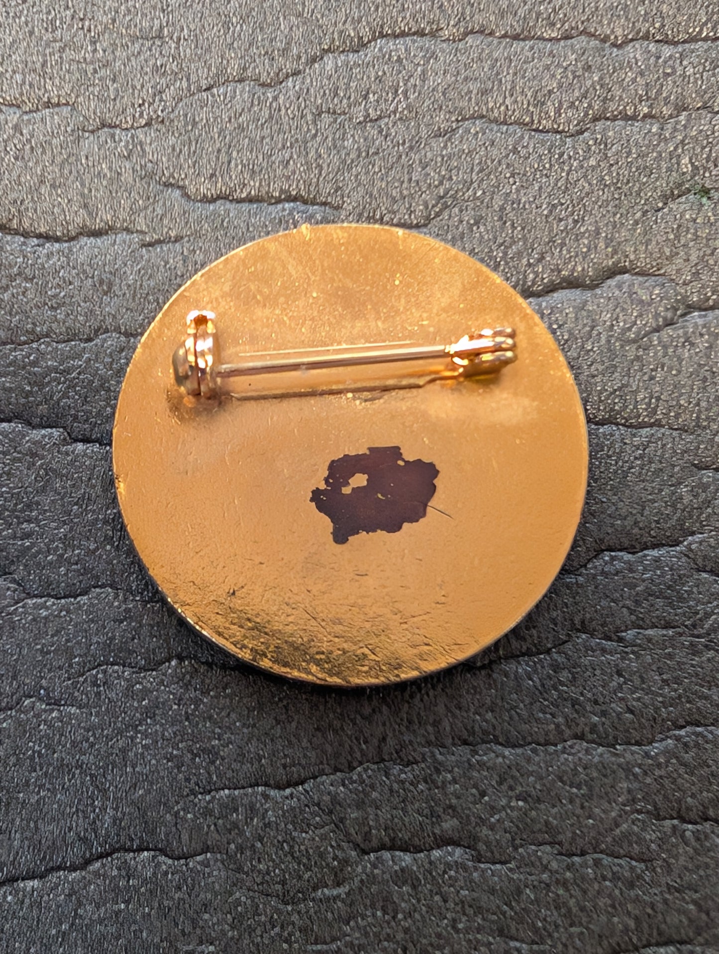 Original Robertsons Rare Balloon Badge Golly II G-BDFG