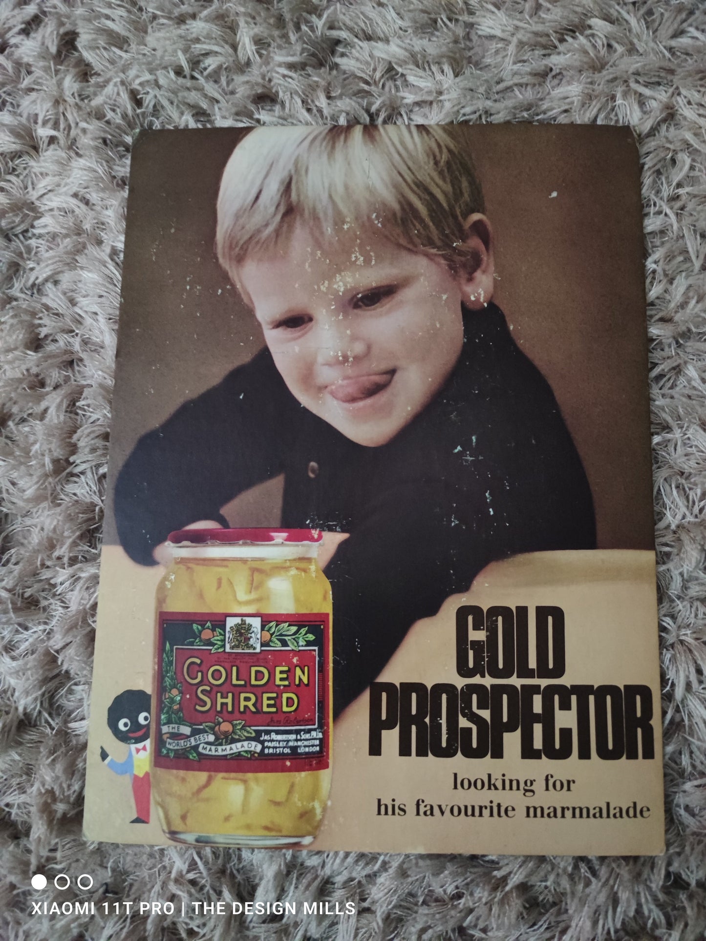 Gold Prospector Showcard 9”W x 12”H
