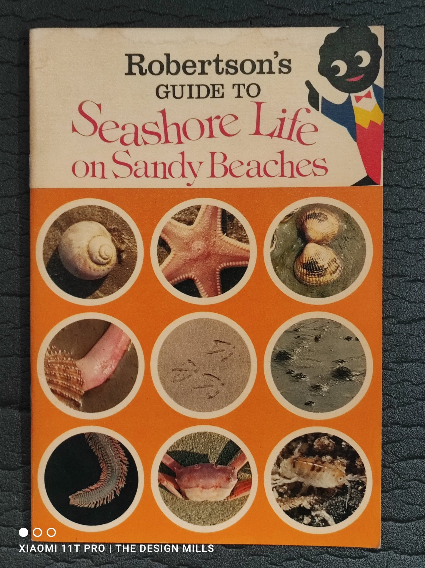 Robertsons Guide to Seashore Life