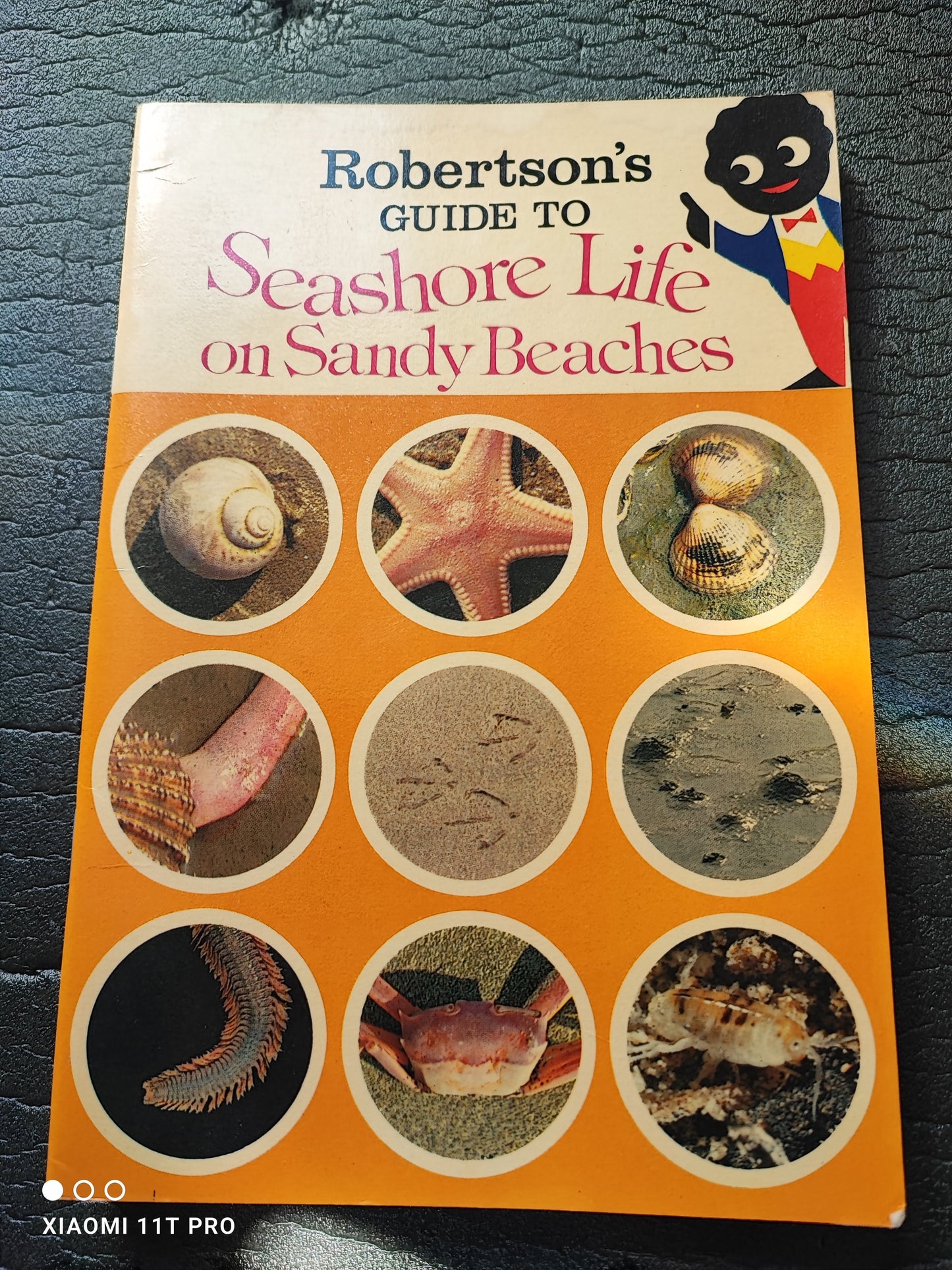 Set of 4 Robertsons "Guide to" Books