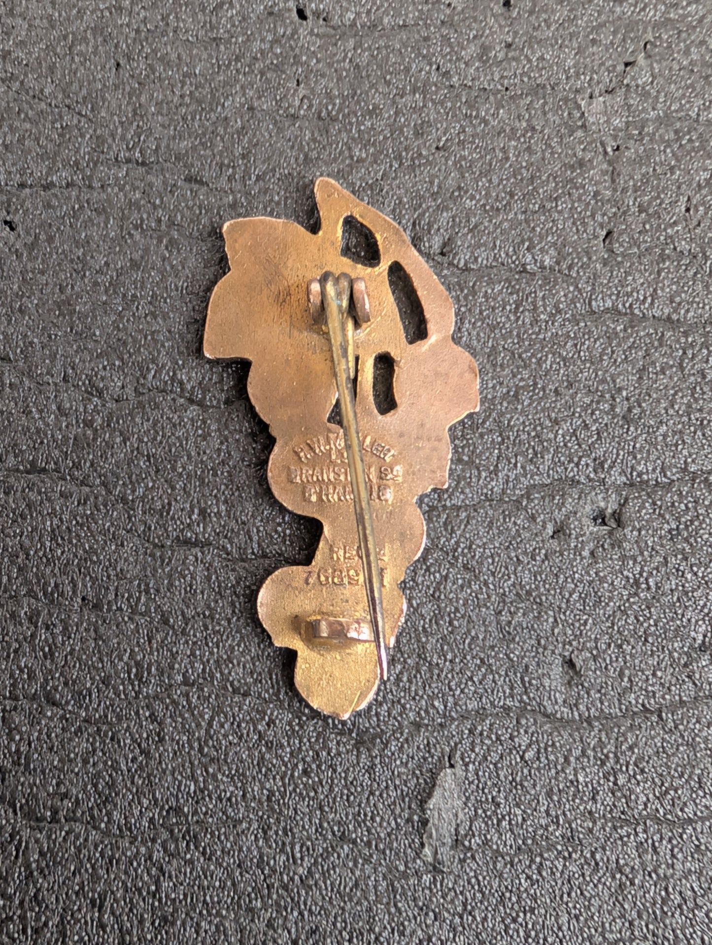 Blackcurrants 1b Reg