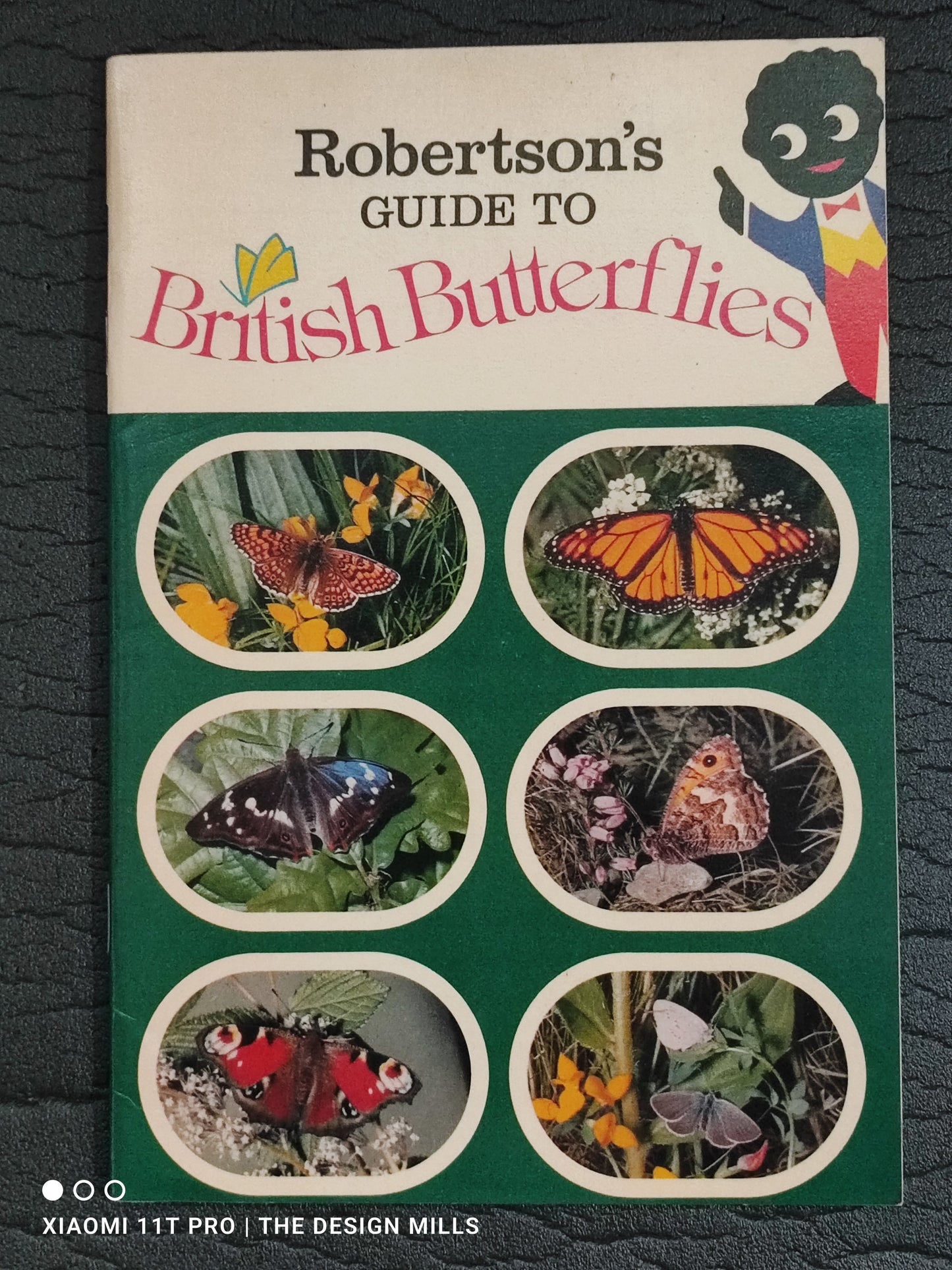 Robertson's Guide to British Butterflies